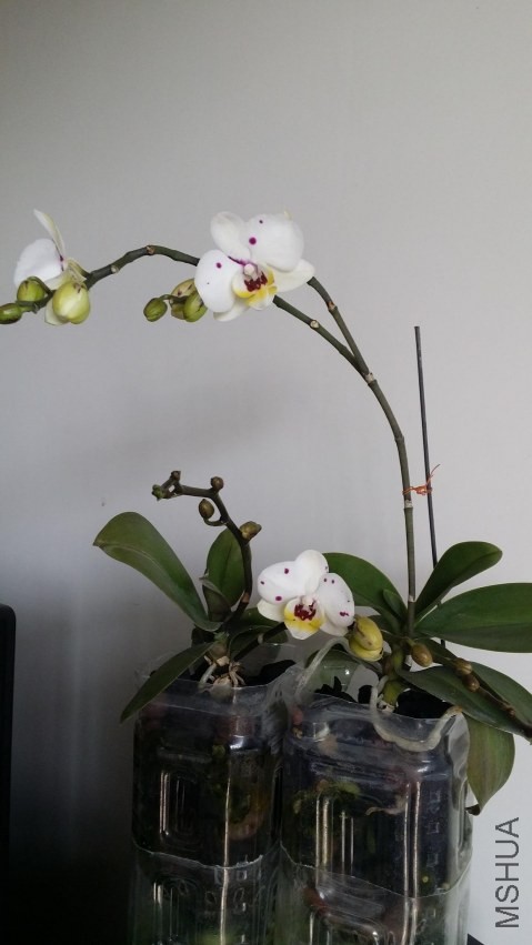 20140405_145253.jpg