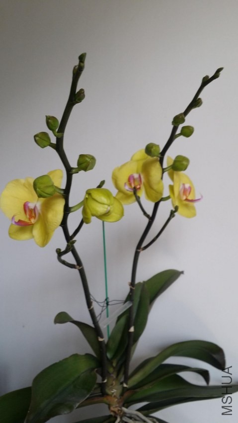 20140405_145124.jpg