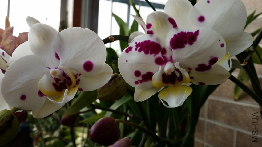 20140413_155951.jpg