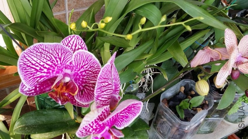 20140413_160205.jpg