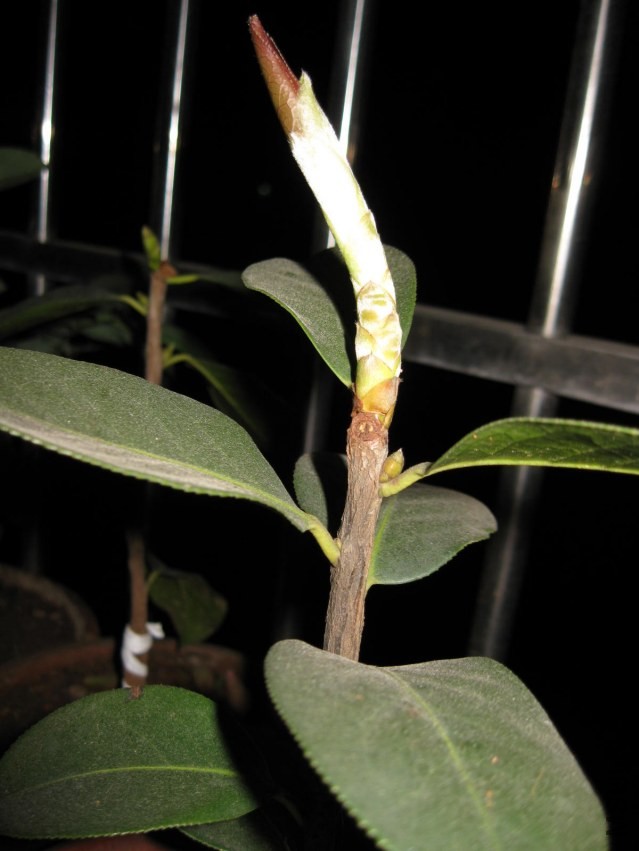 ������7 (16).JPG