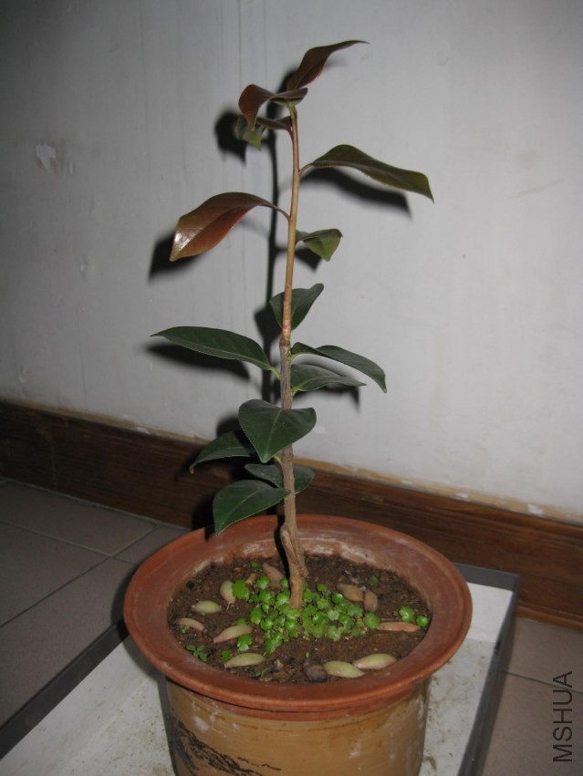 ������7 (22).JPG