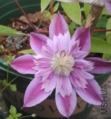 QQ��ͼ20140418200239.jpg