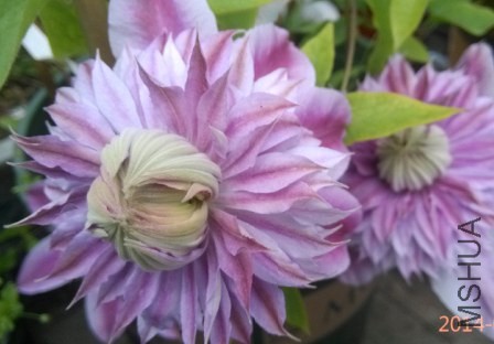 QQ��ͼ20140418200635.jpg