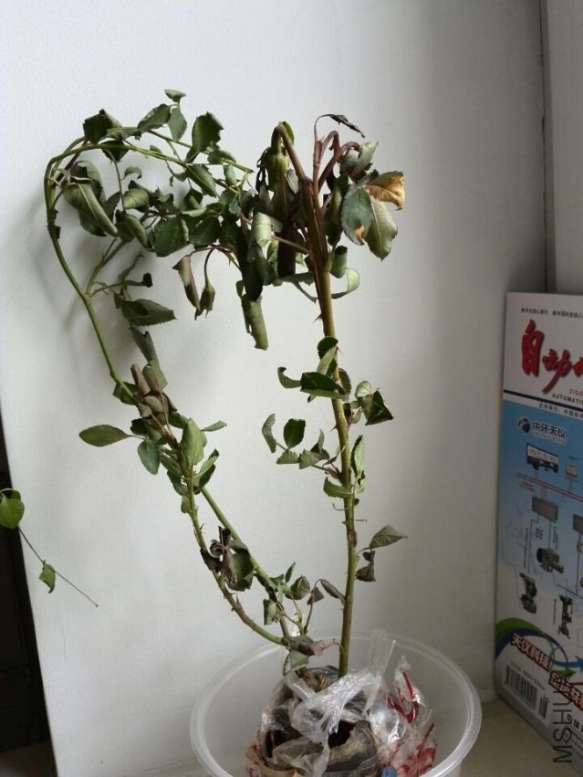 QQͼƬ20140418213812.jpg