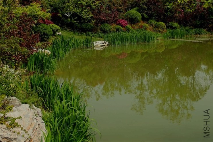 psb (1400)_����.jpg