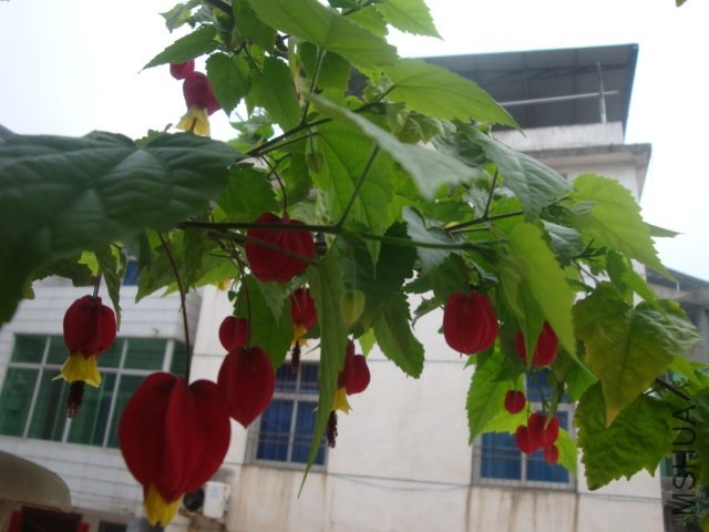 DSC05360.JPG