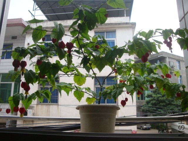 DSC05362.JPG