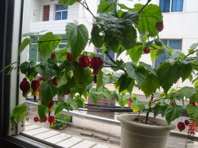 DSC05364.JPG