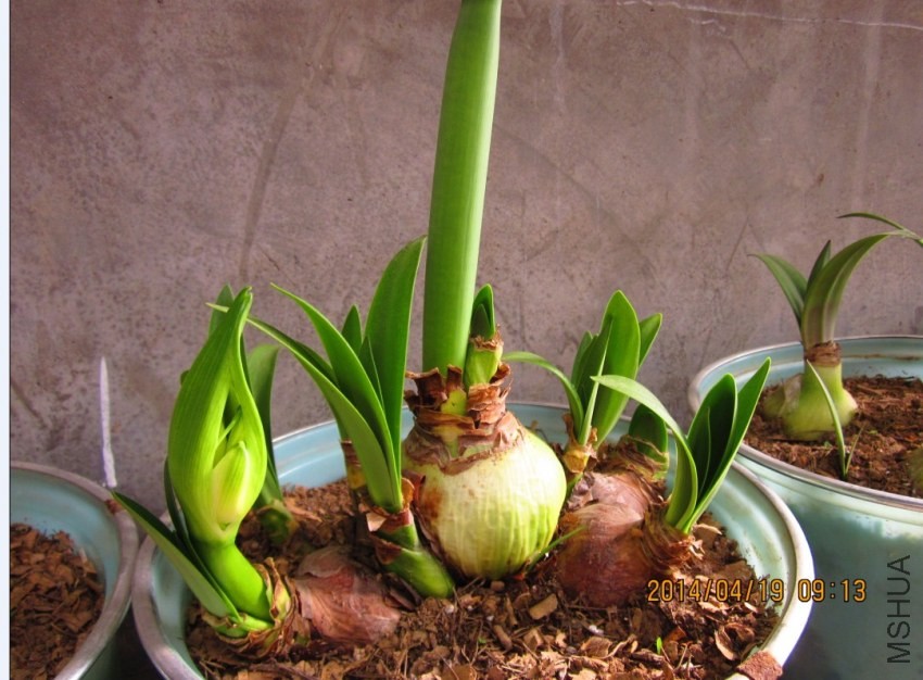 QQͼƬ20140419092409.jpg