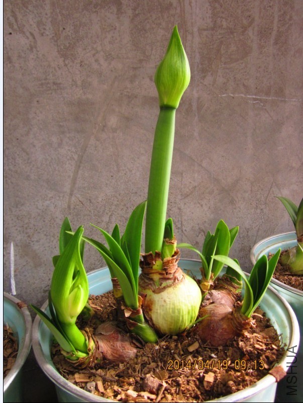 QQͼƬ20140419092412.jpg