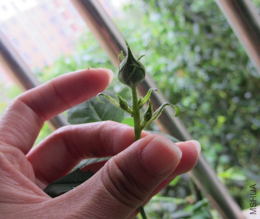 ��Ī�ε���������������������