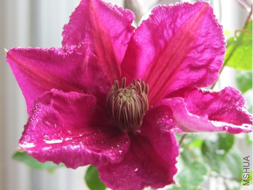 ��������ĵĳ����������