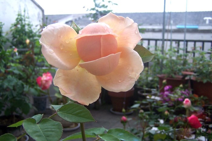100_2056xx.jpg