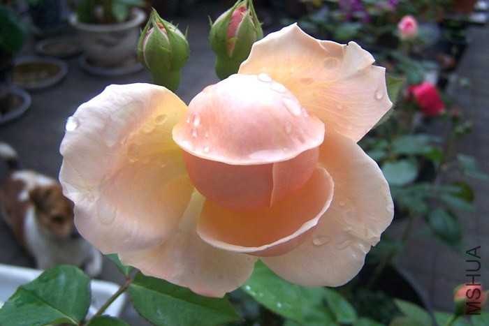 100_2053xx.jpg