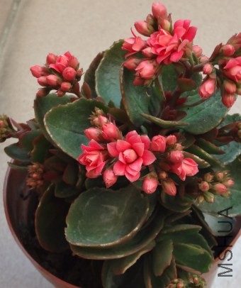 QQ��ͼ20140419143133.jpg