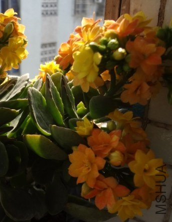 QQ��ͼ20140419143300.jpg