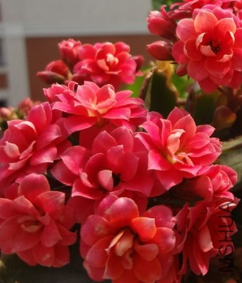 QQ��ͼ20140419143616.jpg