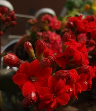 QQ��ͼ20140419143647.jpg