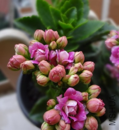 QQ��ͼ20140419143733.jpg