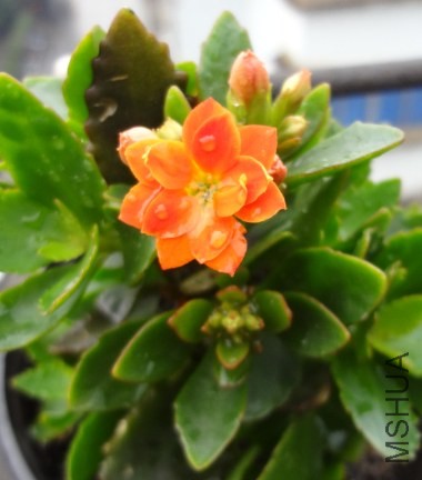 QQ��ͼ20140419143912.jpg