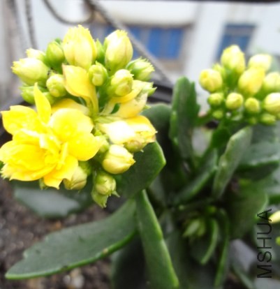 QQ��ͼ20140419143946.jpg
