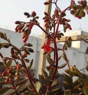 QQ��ͼ20140419144023.jpg