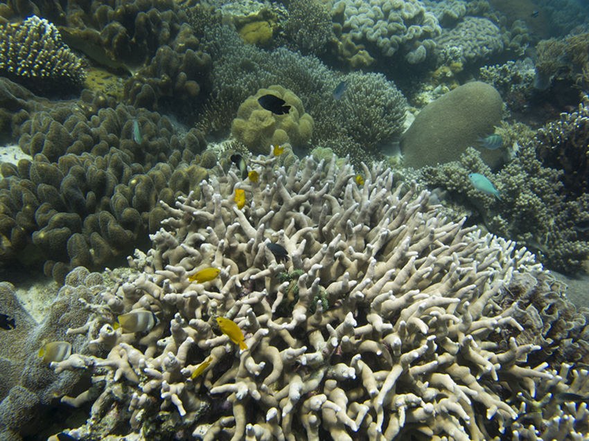 IMG_2436_����.jpg