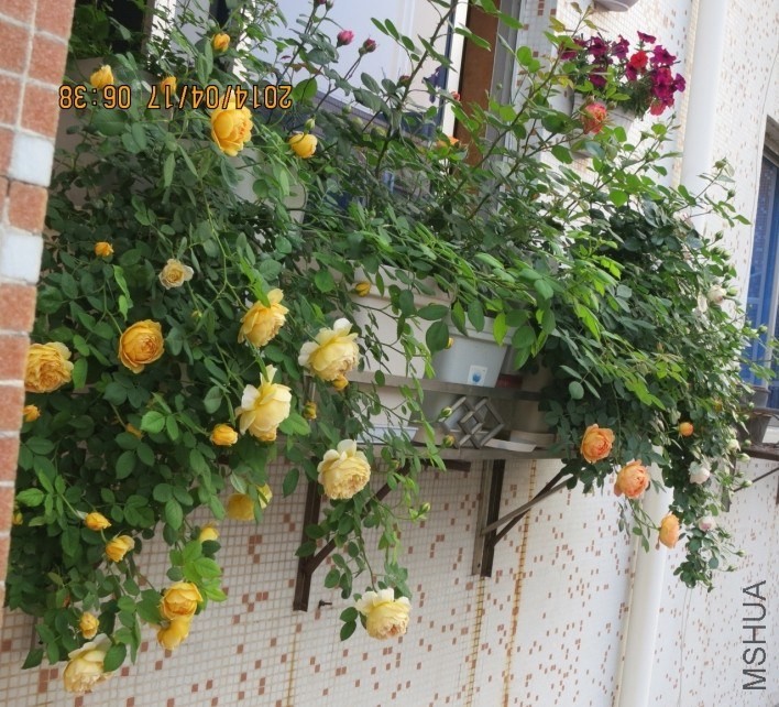 QQͼƬ20140417075225.jpg