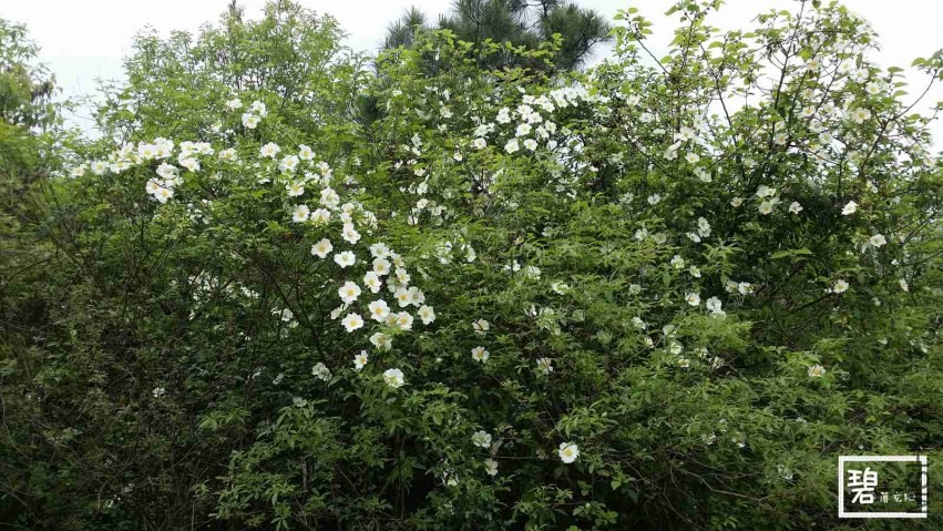 20140411_140436_����.jpg