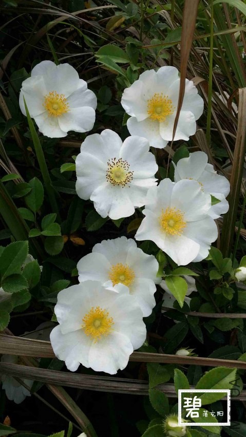 20140411_142138_����.jpg