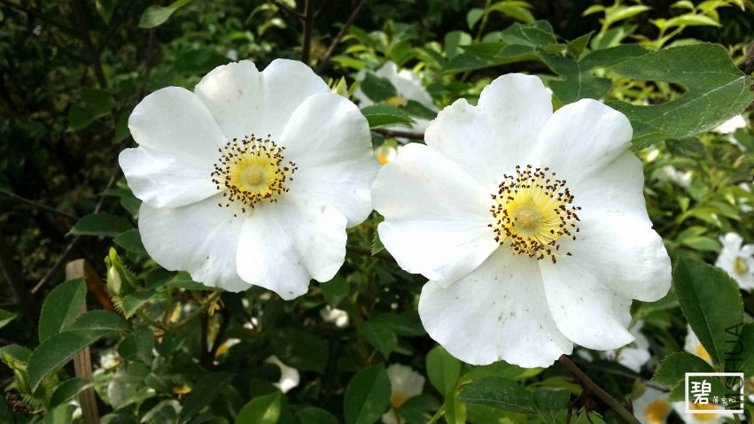 20140411_142211_����.jpg