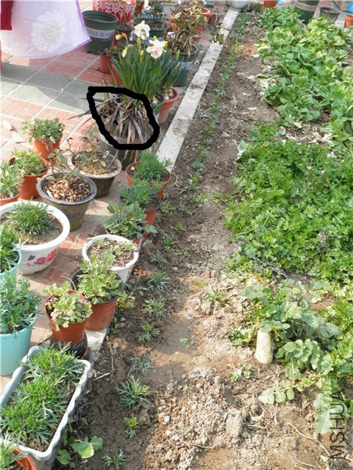P3100005_����.jpg