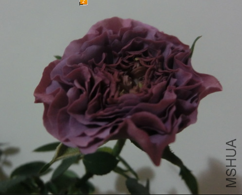 QQ��ͼ20140419204636.png