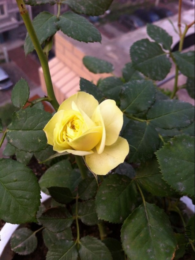 QQͼƬ20140419215342.jpg