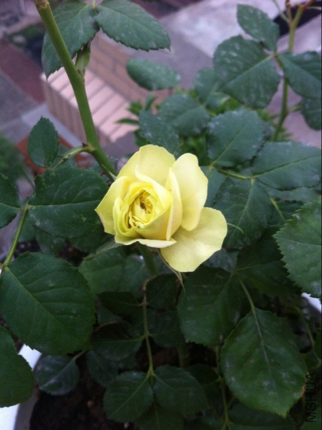 QQͼƬ20140419215349.jpg
