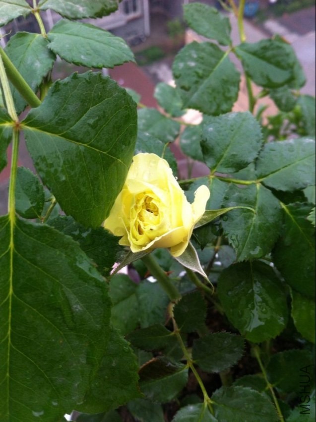 QQͼƬ20140419215353.jpg