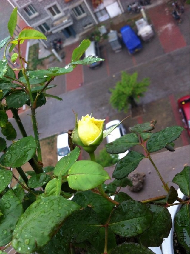QQͼƬ20140419215357.jpg