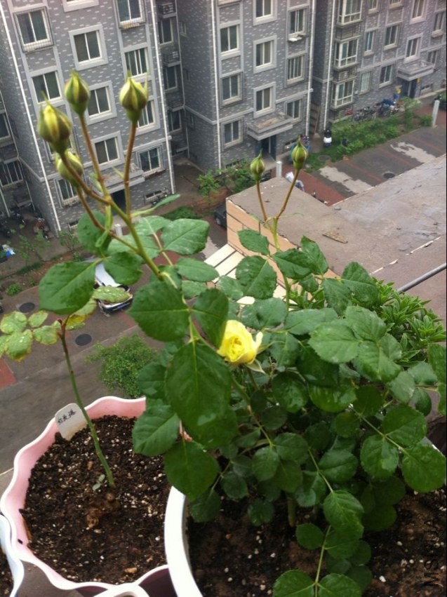 QQͼƬ20140419215402.jpg