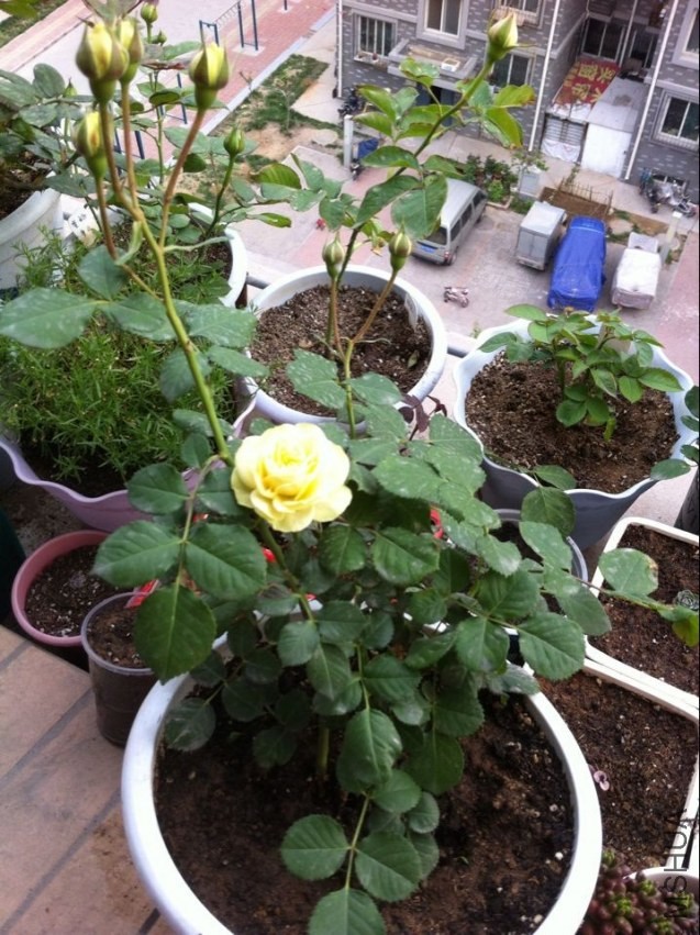 QQͼƬ20140419215406.jpg