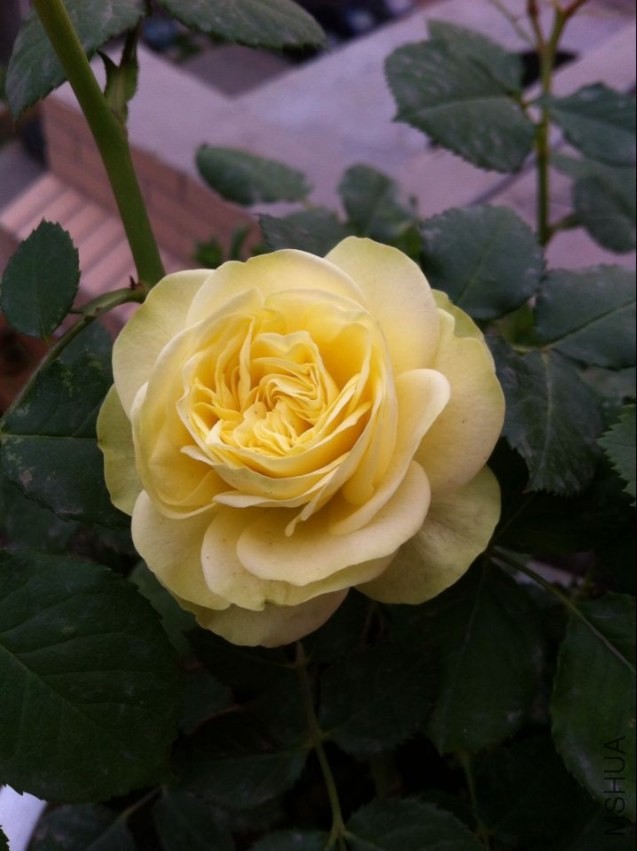 QQͼƬ20140419215418.jpg