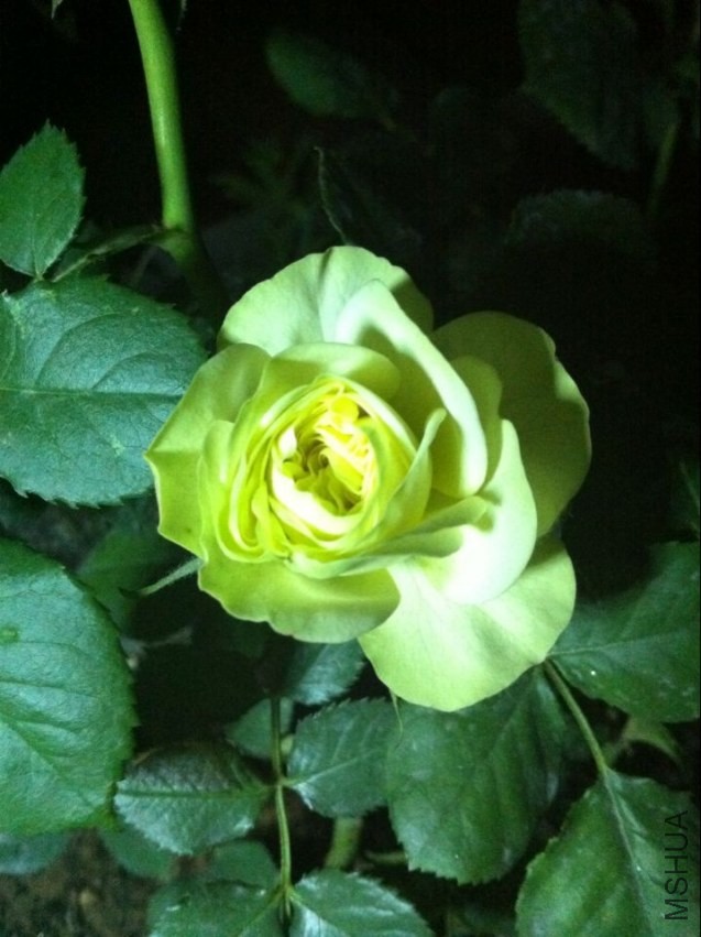 QQͼƬ20140419215430.jpg