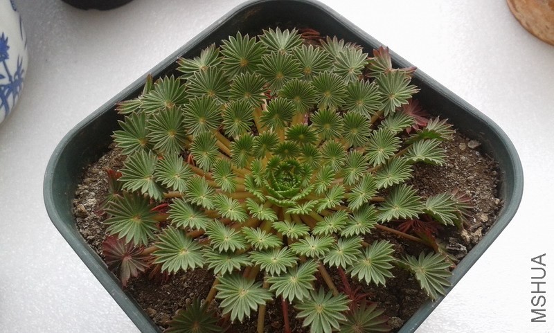 20140227_135244.jpg