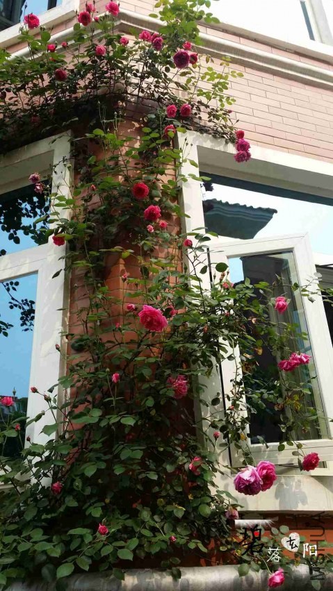 20140416_151859_����.jpg