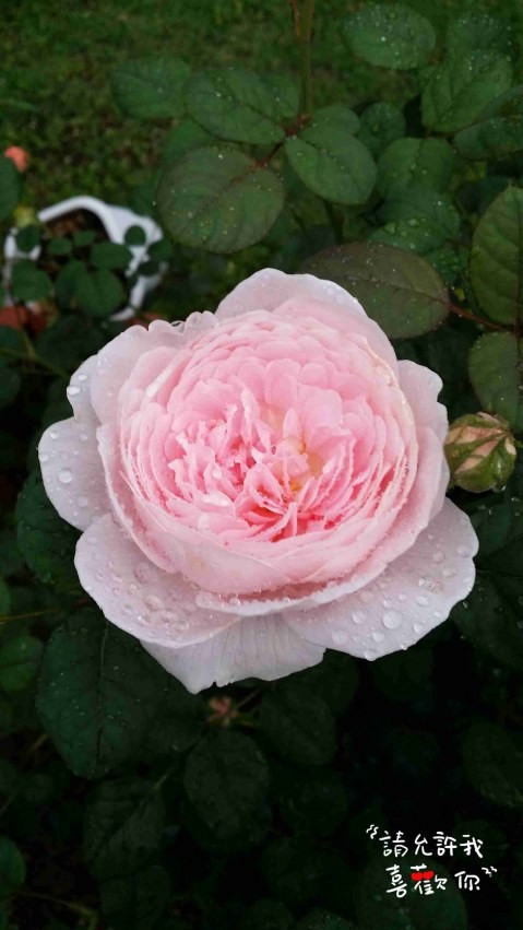 20140419_142857_����.jpg
