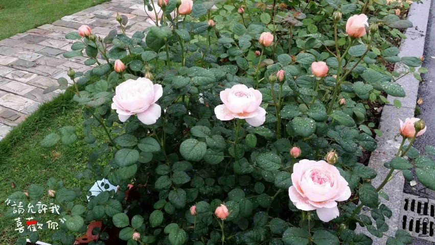 20140419_143125_����.jpg