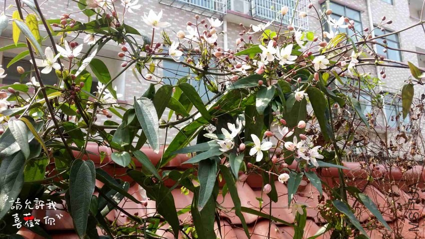 20140321_111622_����.jpg