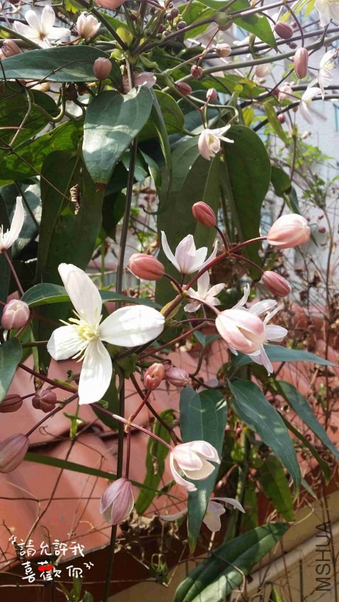 20140321_111627_����.jpg