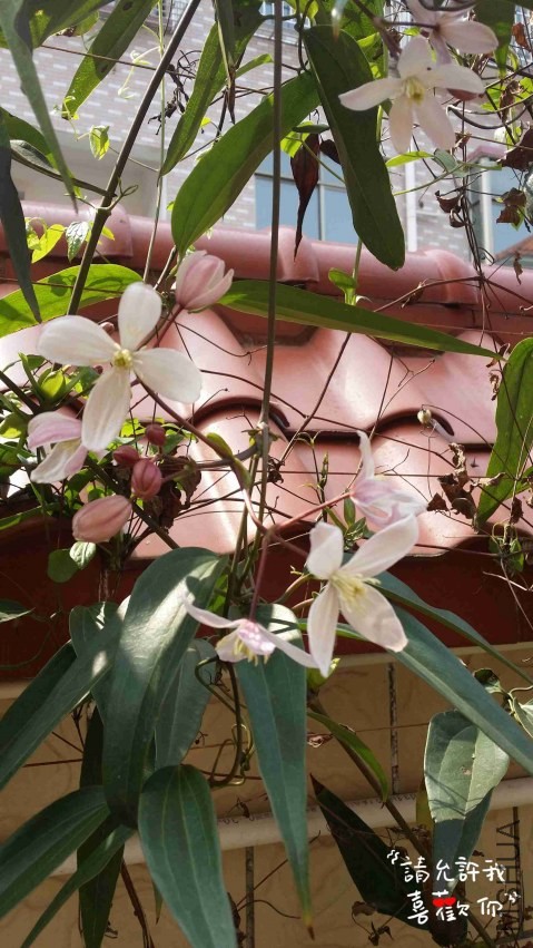 20140321_111637_����.jpg