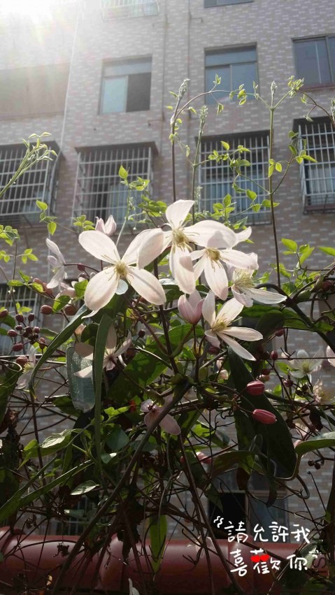 20140321_111840_����.jpg